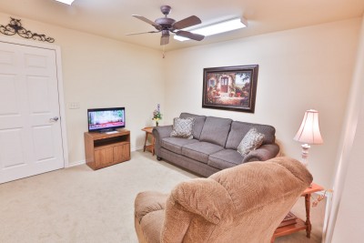 living area with tv